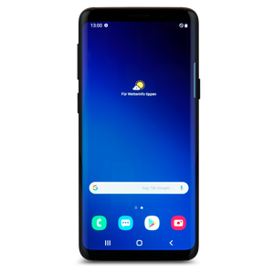 Samsung Galaxy S9+ Schwarz