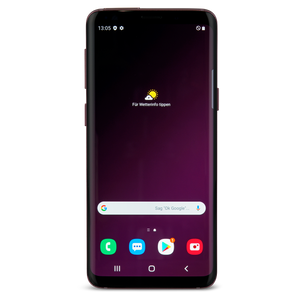 Samsung Galaxy S9+ Violett