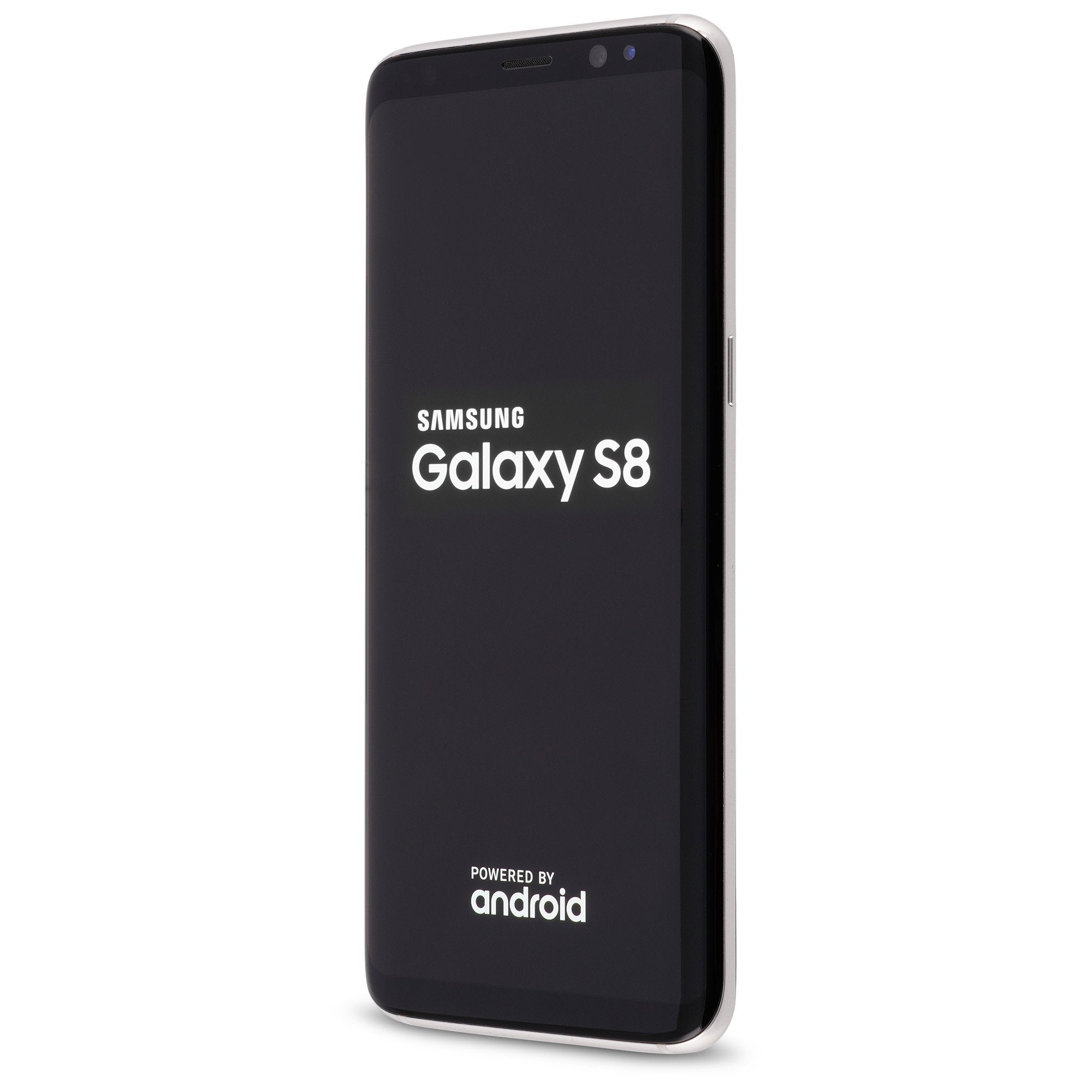 Samsung Galaxy S8 Silber Cover 