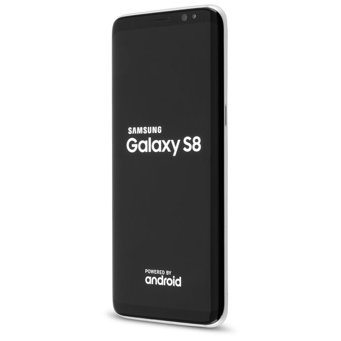 Samsung Galaxy S8 Grau Cover